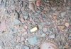 Homem é encontrado sem vida em via pública em Balneário Arroio do silva