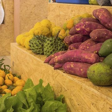 Segunda edição do Dia C promove diversas atividades neste sábado no Center Shopping