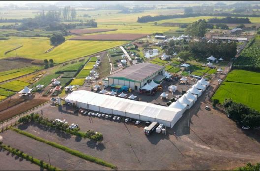 (VIDEO) 21ª edição do campo agroacelereador: evento acontece até amanhã no campo demo...