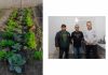 Parceria para revitalização da horta do CRAS
