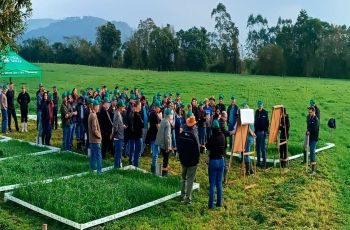 Secretaria de Agricultura de Meleiro promove Dia de Campo sobre Pastagens de Inverno