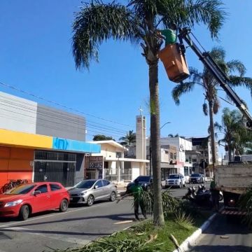 Secretaria de Obras reforça execução de serviços