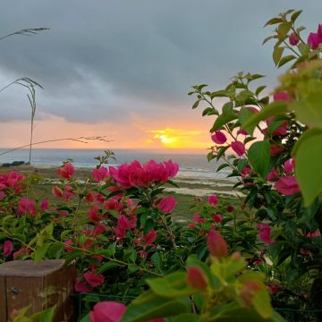 Trilha no Morro dos Conventos celebra o Dia da Mulher