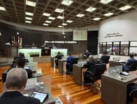 Associação cultural recebe reconhecimento de utilidade pública na 11ª sessão da Câma...