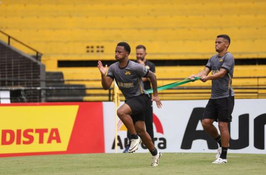 TIGRE & CLINIIMAGEM: Diagnóstico por imagem se torna peça-chave na performance esportiva