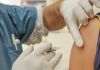 Dia D marca início da campanha contra a Influenza