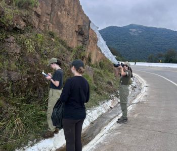 Pesquisadoras da UNESC realizam estudo sobre biodiversidade na Serra da Rocinha