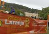 Festival de pipas marca ações do Maio Laranja 