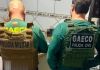 Operação do Gaeco investiga supostas fraudes em concursos da Prefeitura de Maracajá
