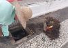 Secretaria de Obras intensifica manutenção urbana em bairros de Araranguá