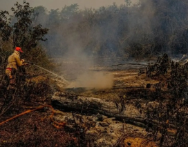 Super El Niño pode provocar 451 mil mortes por calor extremo no mundo, estima estudo