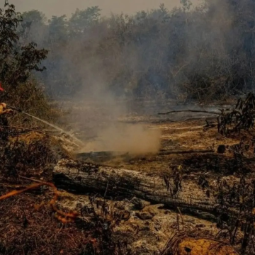 Super El Niño pode provocar 451 mil mortes por calor extremo no mundo, estima estudo