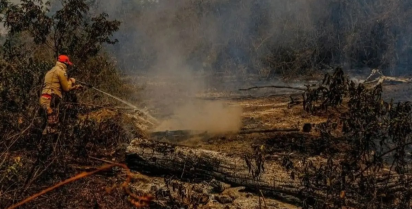 Super El Niño pode provocar 451 mil mortes por calor extremo no mundo, estima estudo