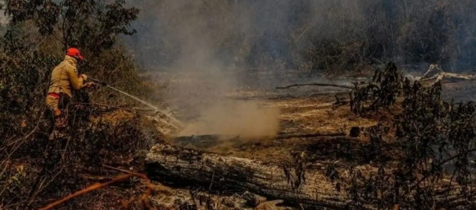 Super El Niño pode provocar 451 mil mortes por calor extremo no mundo, estima estudo