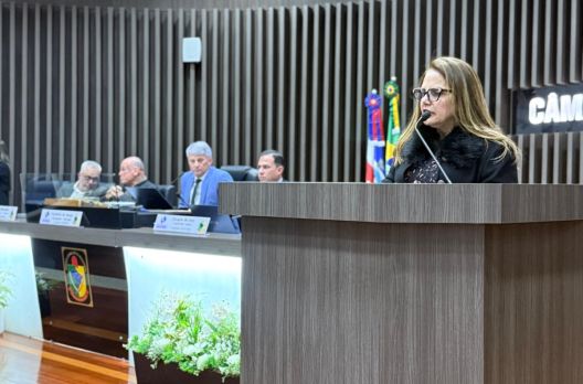 Projetos instituem prêmios por desempenho educacional para profissionais e alunos da rede...