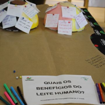 Unesc sedia 1° Encontro Regional de Apoio ao Banco de Leite Humano do HMISC