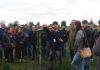 Dia de campo sobre pitaia atrai mais de 100 produtores