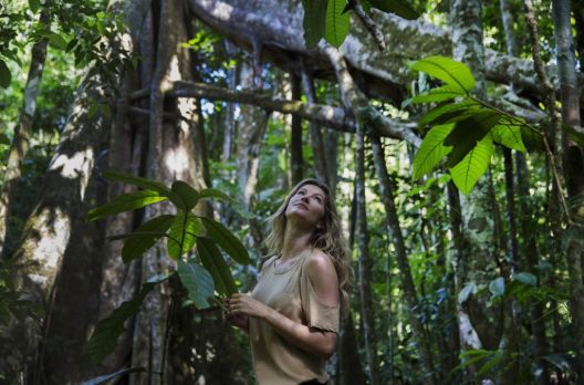 A moda e sua relação com a Amazônia