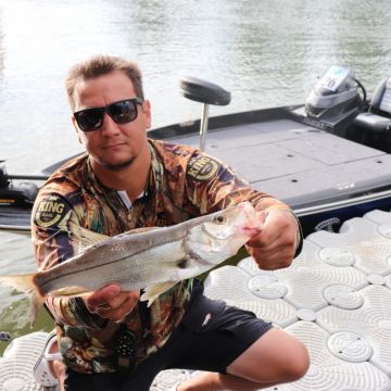 Araranguá sediará etapa de pesca ao robalo