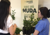 Dia da Árvore: mudas nativas serão  distribuídas sábado nas lojas do Angeloni