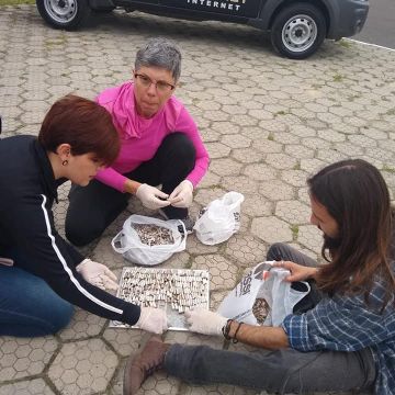 Ação destaca a importância da limpeza