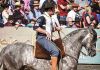 Cavalo que se alimenta com Rações Dom Joaquim, é premiado  na “Copa do Mundo do Cavalo Crioulo”