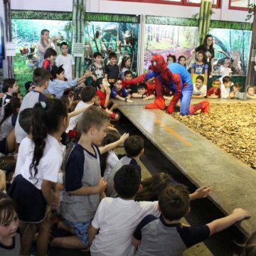 Museu de Zoologia da Unesc promove atividade especial alusiva ao Dia das Crianças
