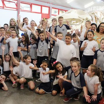 Museu de Zoologia da Unesc promove atividade especial alusiva ao Dia das Crianças