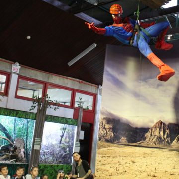 Museu de Zoologia da Unesc promove atividade especial alusiva ao Dia das Crianças