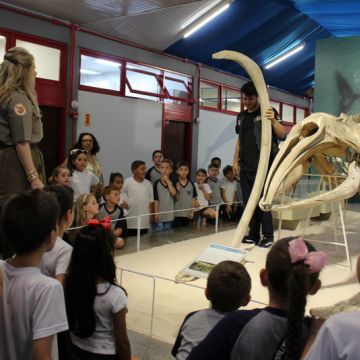 Museu de Zoologia da Unesc promove atividade especial alusiva ao Dia das Crianças