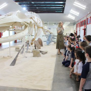 Museu de Zoologia da Unesc promove atividade especial alusiva ao Dia das Crianças