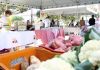 Primeira edição da Feira da Agricultura Familiar no Parque das Nações ocorre nesta quinta-feira