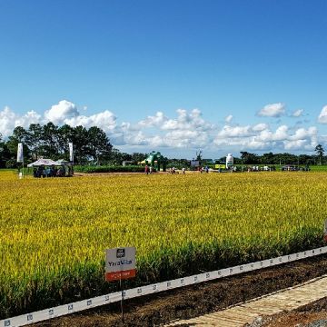 Sicoob Credisulca leva cooperativismo de crédito ao maior evento rural de Turvo/SC