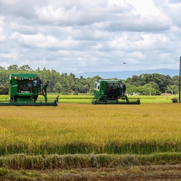 Sicoob Credisulca leva cooperativismo de crédito ao maior evento rural de Turvo/SC