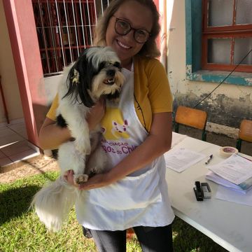 Primeiro mutirão de castração do ano com bons resultados