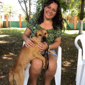 Primeiro mutirão de castração do ano com bons resultados