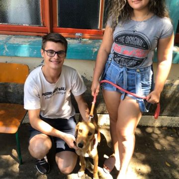 Primeiro mutirão de castração do ano com bons resultados