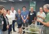 Agricultura: curso de plantas medicinais inicia nesta terça-feira em Criciúma