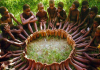 Ubuntu – Sou quem sou, porque somos todos nós