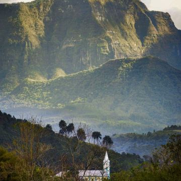 UaaaU lança coluna de Silvio Paladini
