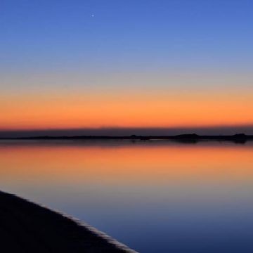 UaaaU lança coluna de Silvio Paladini