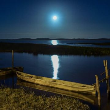 UaaaU lança coluna de Silvio Paladini