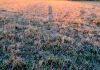 Frio intenso marcará a segunda parte da semana