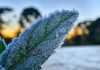A 'onda histórica de frio' que fará as temperaturas desabarem do Sul ao Norte do Brasil
