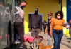 Arroio realiza a 5ª etapa do Mutirão de Castração de animais de rua