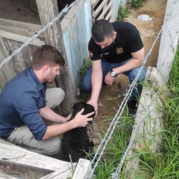 Polícia Civil de Turvo resgata cãozinho vítima de maus tratos