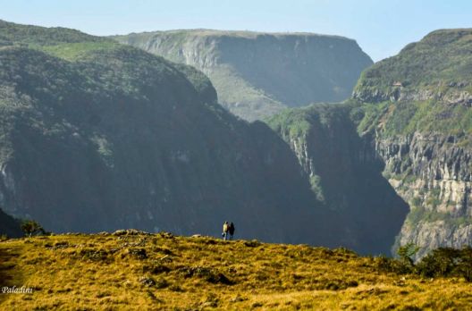 O mundo por uma lente - Paz