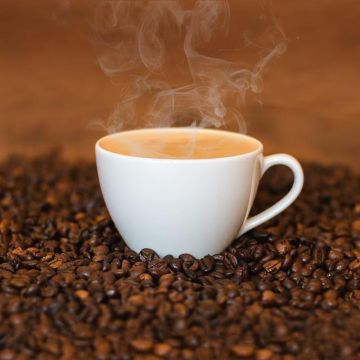 Pesquisa revela potencial catarinense para produzir café especial