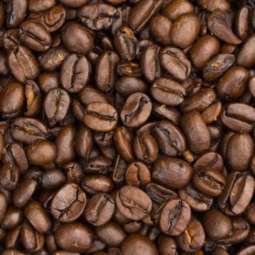 Pesquisa revela potencial catarinense para produzir café especial