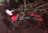 Turvo: Motociclista morre ao colidir em uma capivara